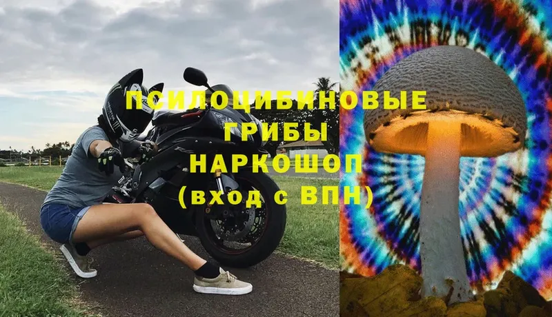 Псилоцибиновые грибы Magic Shrooms  Заринск 